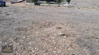 Seydikemer Yayla Ceylan'da 1550 M2 Tarla Açıklamayı Okuyun