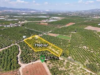 Yaşa Gyd - Bekirdede 7.160 M², Su Ve Elektrik Bulunan Arsa