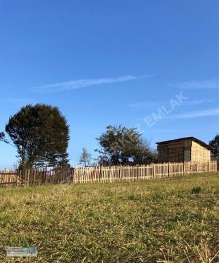 Merkez Emlâk Armağan'dan 241m2 Etrafı Çevrili İçinde Ufak Bir Ev