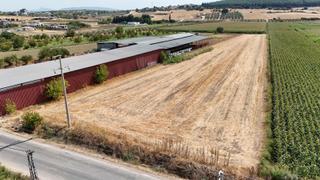 Berk Emlaktan Menderes Oğlananasında Ana Yol Üzeri Satılık Tarla - 1