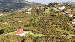 Ordu Perşembe Beylide Deniz Manzaralı 1.500 M² Satılık Arazi