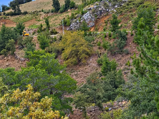 Yeniköy Mahallesi Avokado Ekimine Uygun 12.700m2 Tarla