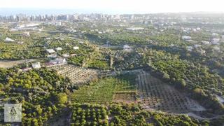 D400'e 1.5 Km Yolu Var Limon Bahçesi