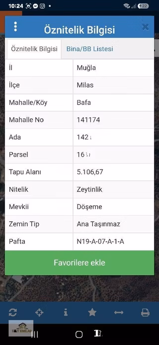 Muğla Milas Bafa'da Yola Sıfır Satılık Zeytinlik