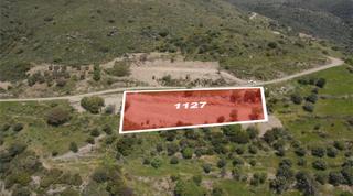 Karaburun Sarpıncıkta Deniz Manzaralı 2.281 M² Satılık Tarla