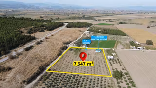 Bergama Kaşıkçı’da Konteyner Evli, Sulama Sistemli Satılık Zeytinlik
