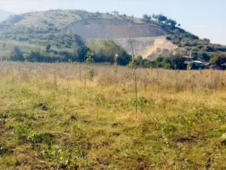 Niksar Prestij Emlaktan Satılık Yolkonakta 9.300 M2 Tarla