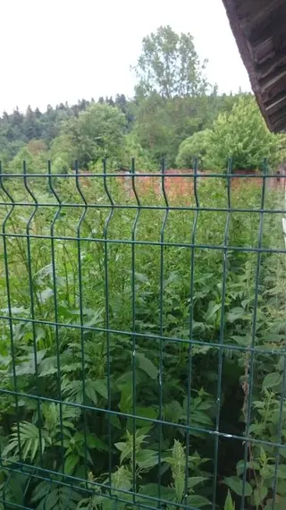 Tımaraktaş Köyünde 7000 M2 Köy Yoluna Sıfır Tarla