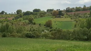 Kemalist Gayrimenkul'den ,ankara Çubuk Sarıkoz'da, 112,20 M2 Arsa