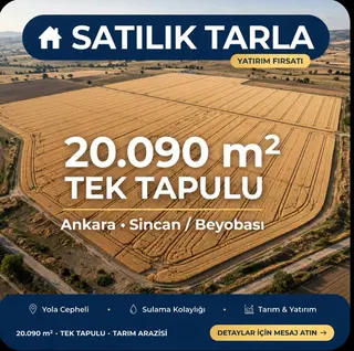Sahibinden Sincan Temelli'de 20 Dönüm Müstakil Tapulu Tarla –  Kiralık Ya Da Satılır. 