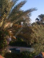 Mg Emlaktan Satılık Özel Tasarım Villa