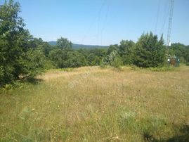 Sahibinden Satılık Tarla