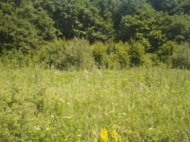 Sahibinden Satılık Tapulu Tarla