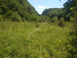 Sahibinden Satılık Tapulu Tarla