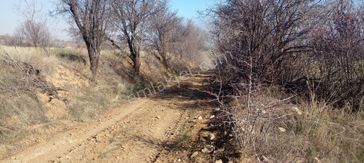 Elazig Sultan Uşaginda Satilik Tarla