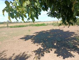 Biga Çavuşköy Mahallesinde İmara Yakın Yatırımlık Tarla