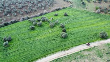 Üvecik De Yol Kenarı Köye Yakın Tarla