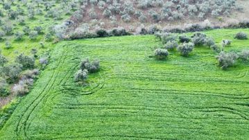 Üvecik De Yol Kenarı Köye Yakın Tarla