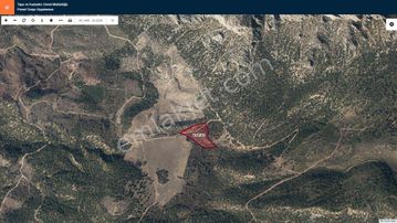 Başkan Emlaktan Satılık Söğüt Geçitli Köyünde 16.877 M2 Tarla