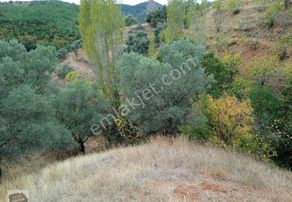 İzmir Bayındır Satılık Bahçe