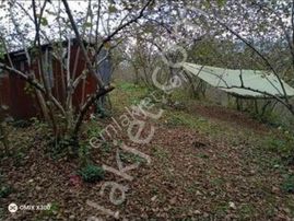 (30 ) 25 Dönüm Alt Ve Üsten İki Yolu İçerisinde