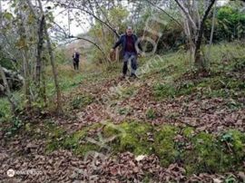 (30 ) 25 Dönüm Alt Ve Üsten İki Yolu İçerisinde