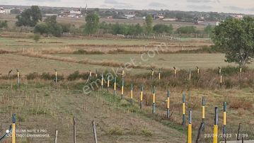 Karlıköy'de Asfalt Üzeri 711 M² Den Son 3 Parsel Etrafı Çevrili