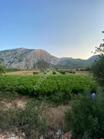 Mersin/silifke'de Denize Nazır Satılık Tarla