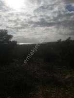 Didimde 8 Dönüm Satılık Tarla