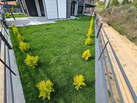 Eu Gayrimenkulden Balıkesir Edremit Güre'de Yeşilliklerin İçerisinde Çift Mutfaklı 5+1 Villa