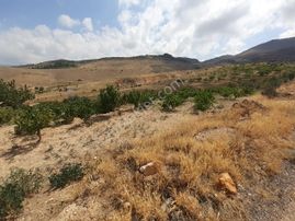 Öz Gaye Emlaktan Develi Tombak Mahallesi Seğlik Mevkiinde Satılık Bağ Yeri