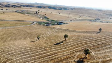 Çardakbagı Nda İster Bahçe İster Ahır İster Yatırımlık