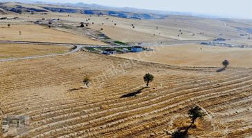 Çardakbagı Nda İster Bahçe İster Ahır İster Yatırımlık