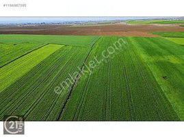 Çatalca Kabakça Mahallesinde Acilen Satılık Tarla 29172m2 Tek Tapu!