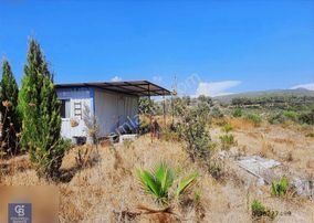 Milas Çamköyde Yola Cepheli Çiftlik Arazisi