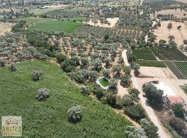 Antika Gayrimenkul Den Ana Yola Cepheli Zeytinlik