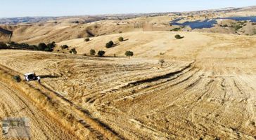 ***çardakbagın Da İster Bahçe İster Yatırımlık İster Ahır***