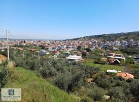 İzmir Kemalpaşa Armutlu'da 5 Dönüm Zeytinli Bağ