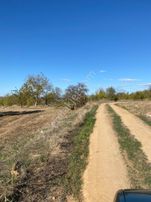 Sahibinden Satılık Bağ Yeri