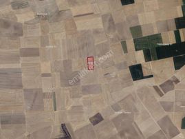 Konya/sarayönü/başhüyük'te 31.605 M² 1. Sınıf Tarla