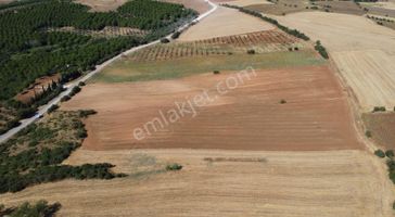emlakjet-image-not-found