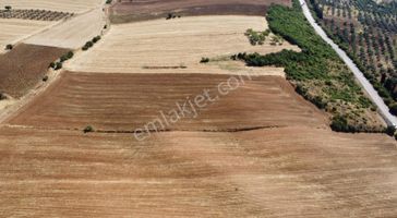 emlakjet-image-not-found