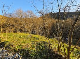 Global Emlak'tan Kuzuluk Mevkin'de Satılık Fındıklık