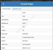 Rest Emlak - Aydın Çine De Büyük Yatırımlık Tarla