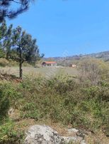 Başdekor Gayrimenkul'den Satılık Geyve Kulfalar'da