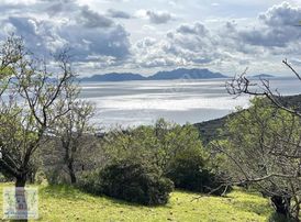 Marinden Yazı Mah. Eşsiz Deniz Manzaralı Yatırımlık Bademlik