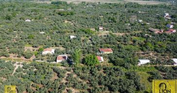 Erdek Yukarıyapıcı Mahallesi Yatırımlık 865m² Satılık Tarla