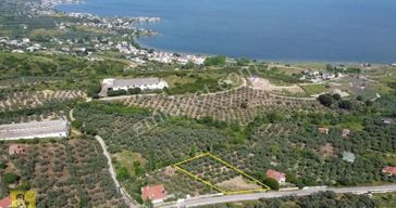 Erdek Hamamlı Mahallesi Deniz Manzaralı 2170m² Satılık Zeytinlik