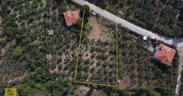 Erdek Hamamlı Mahallesi Deniz Manzaralı 2170m² Satılık Zeytinlik