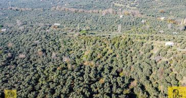 Erdek Atatürk Mahallesi Kadastro Yoluna Yakın Yatırımlık 2296m² Satılık Zeytinlik